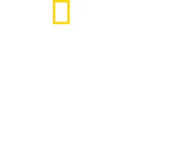 インド空中散歩