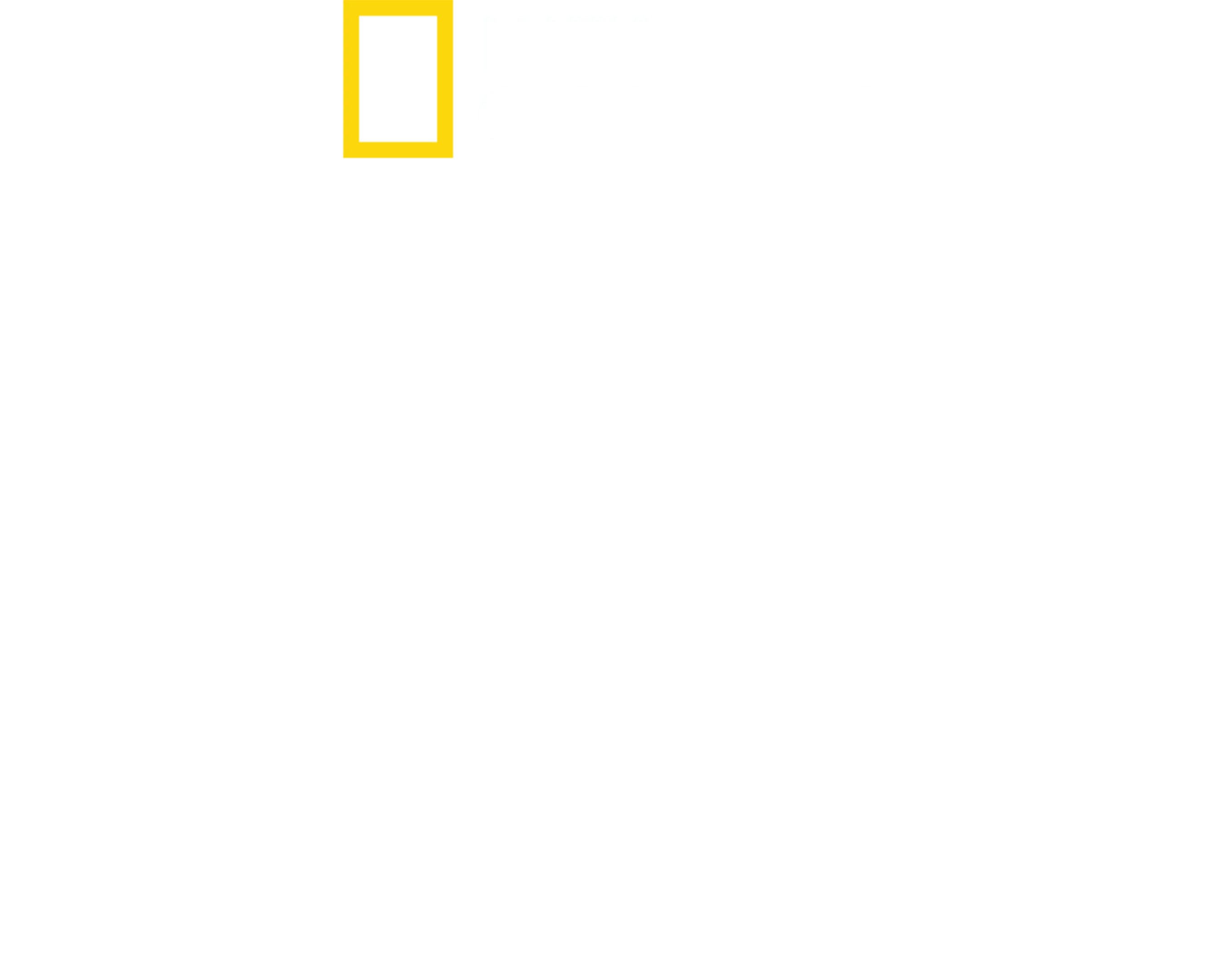 インド空中散歩