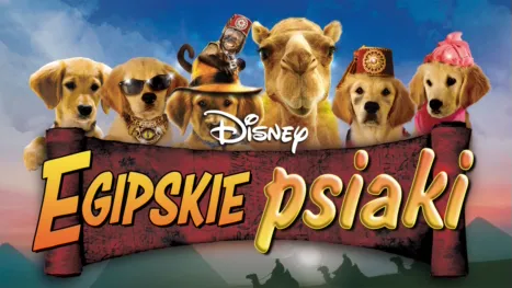 thumbnail - Egipskie psiaki