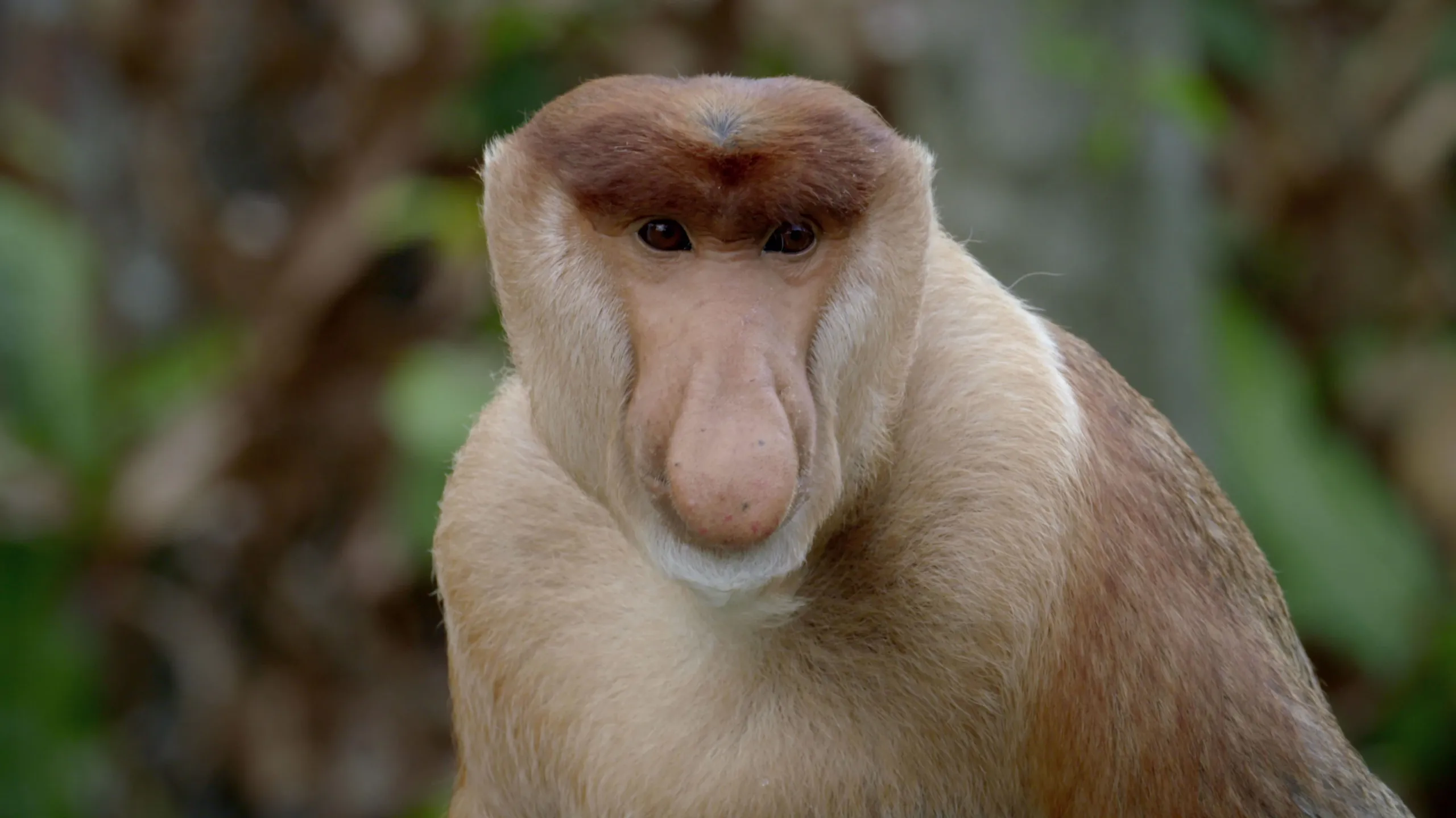 thumbnail - S1:E6 Gangsters