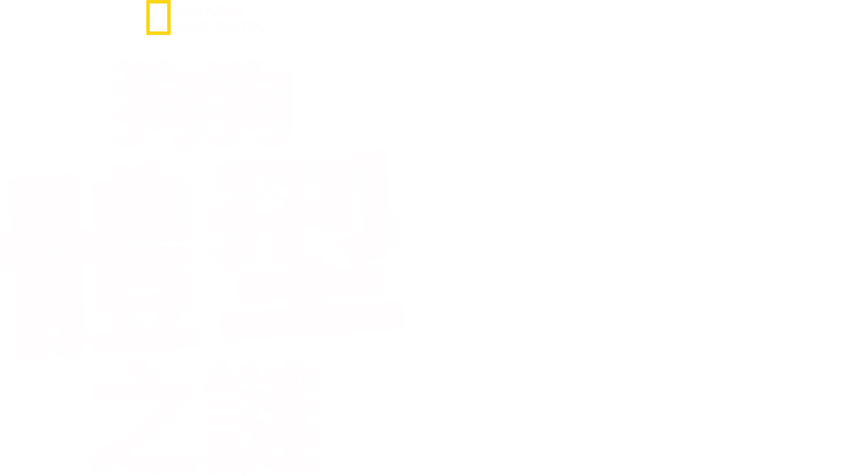 狗狗體型之謎