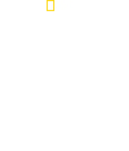 狗狗體型之謎