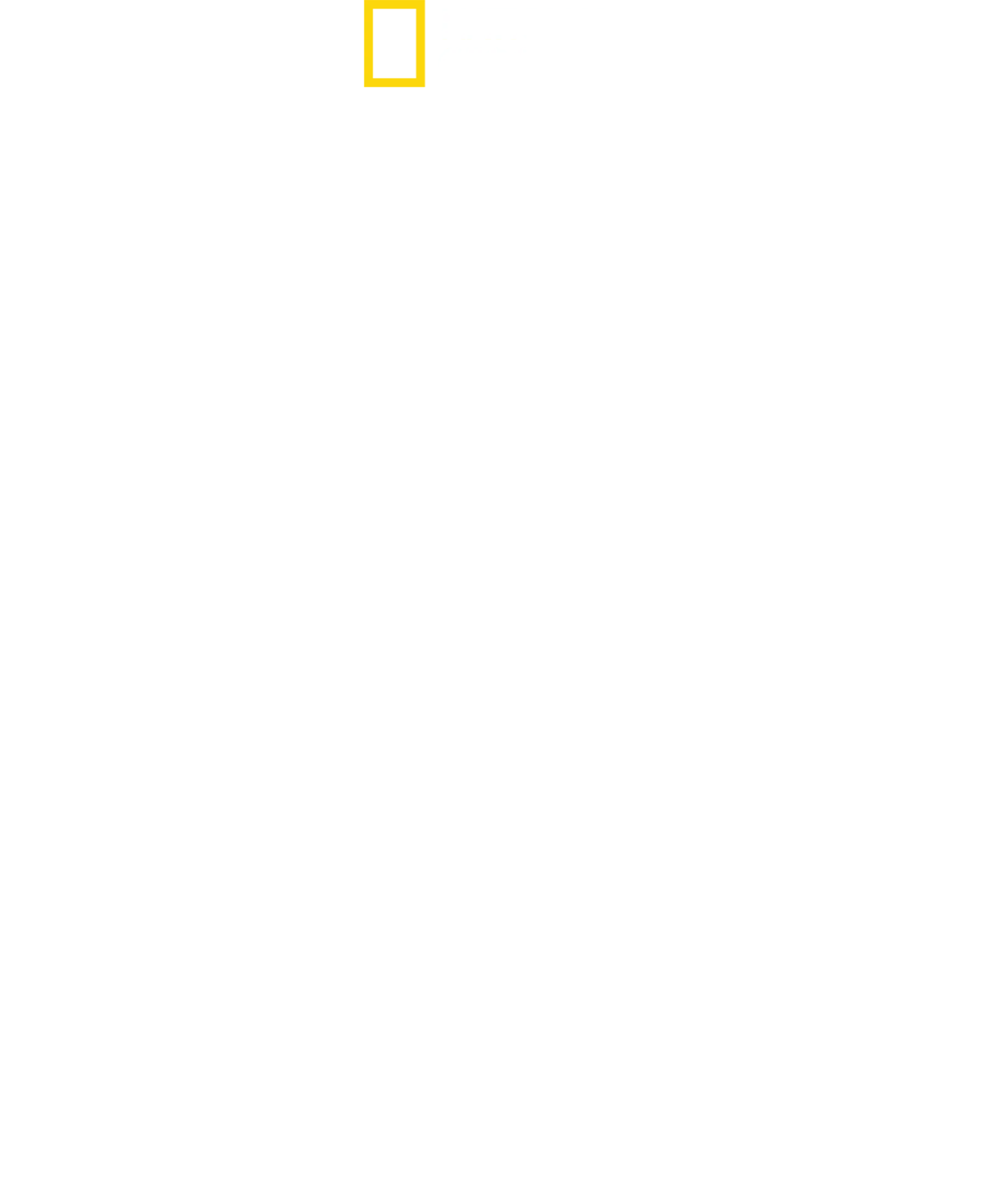 狗狗體型之謎