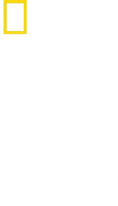 叢林求生40天