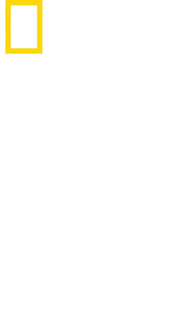 叢林求生40天