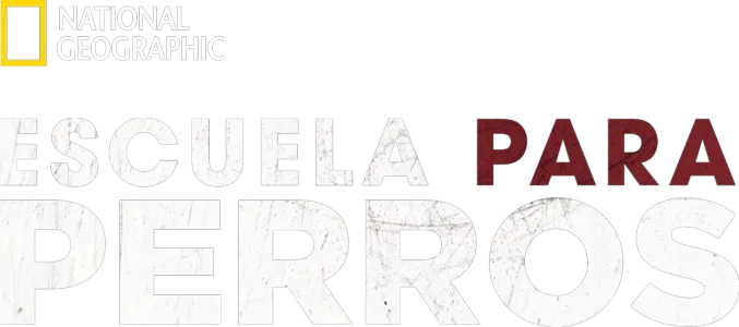 Escuela para perros
