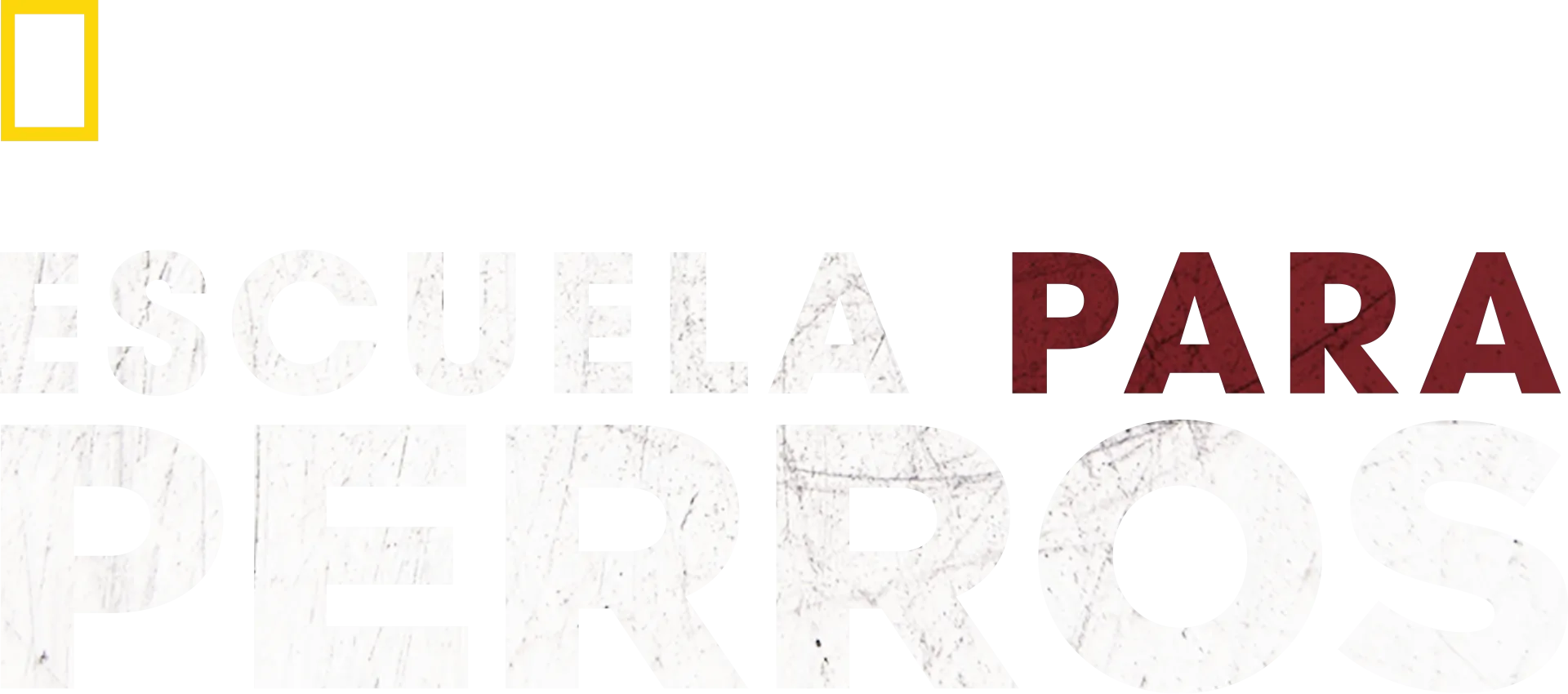 Escuela para perros