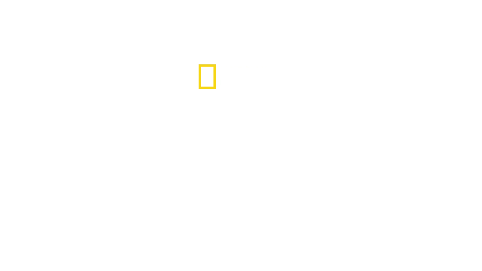 Hamnsäkerheten i Hamburg