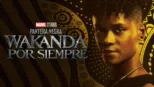 thumbnail - Pantera Negra: Wakanda por siempre