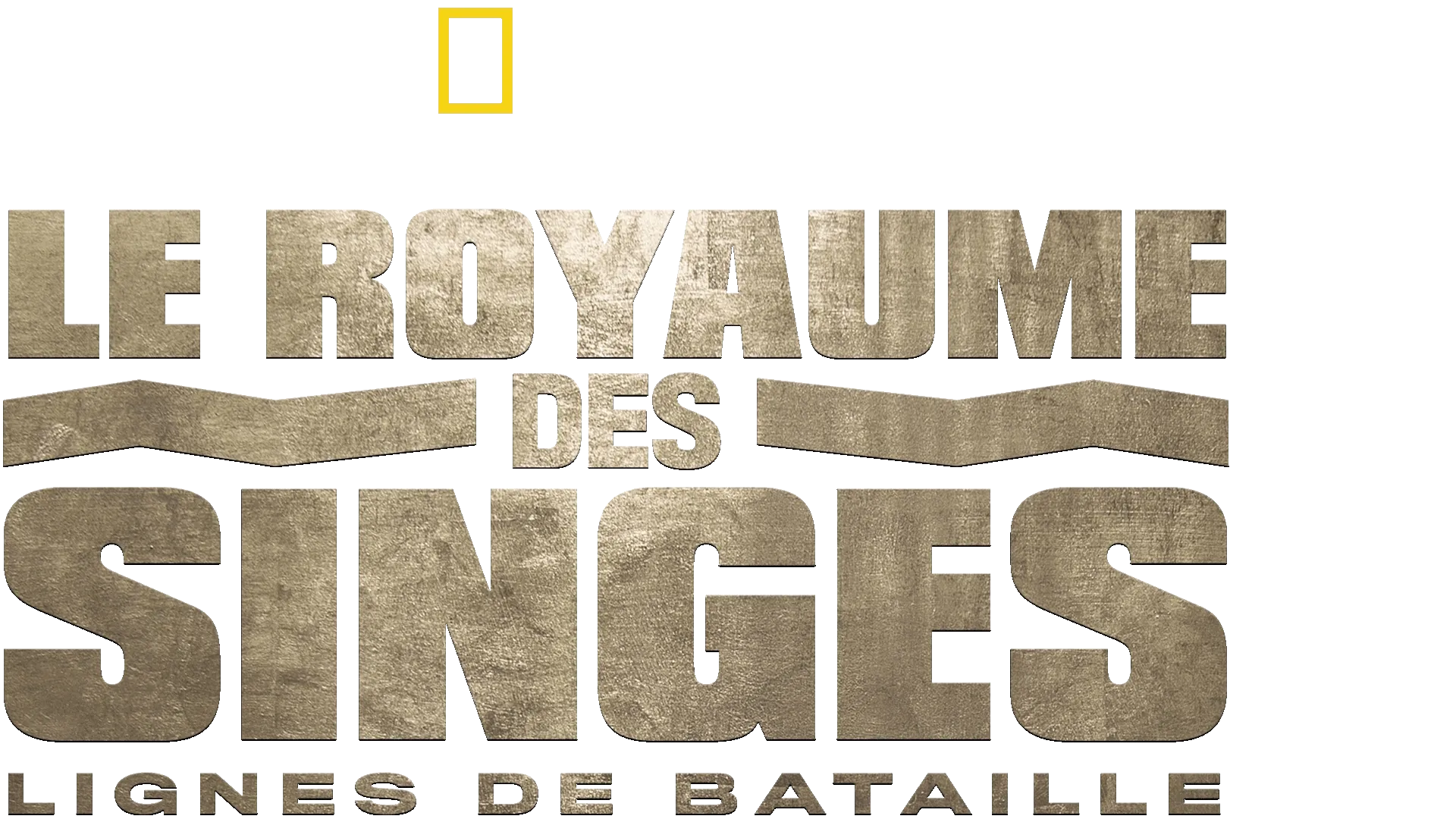 Le royaume des singes: Lignes de bataille