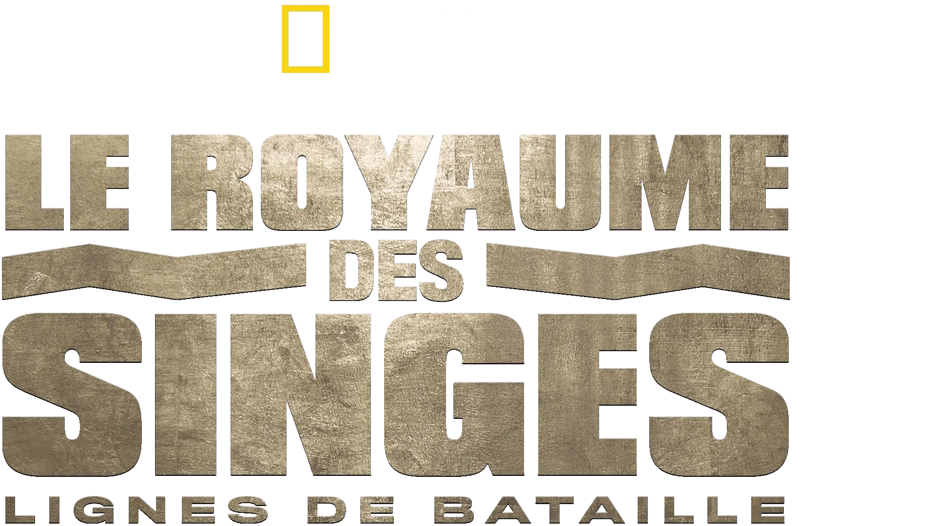 Le royaume des singes: Lignes de bataille