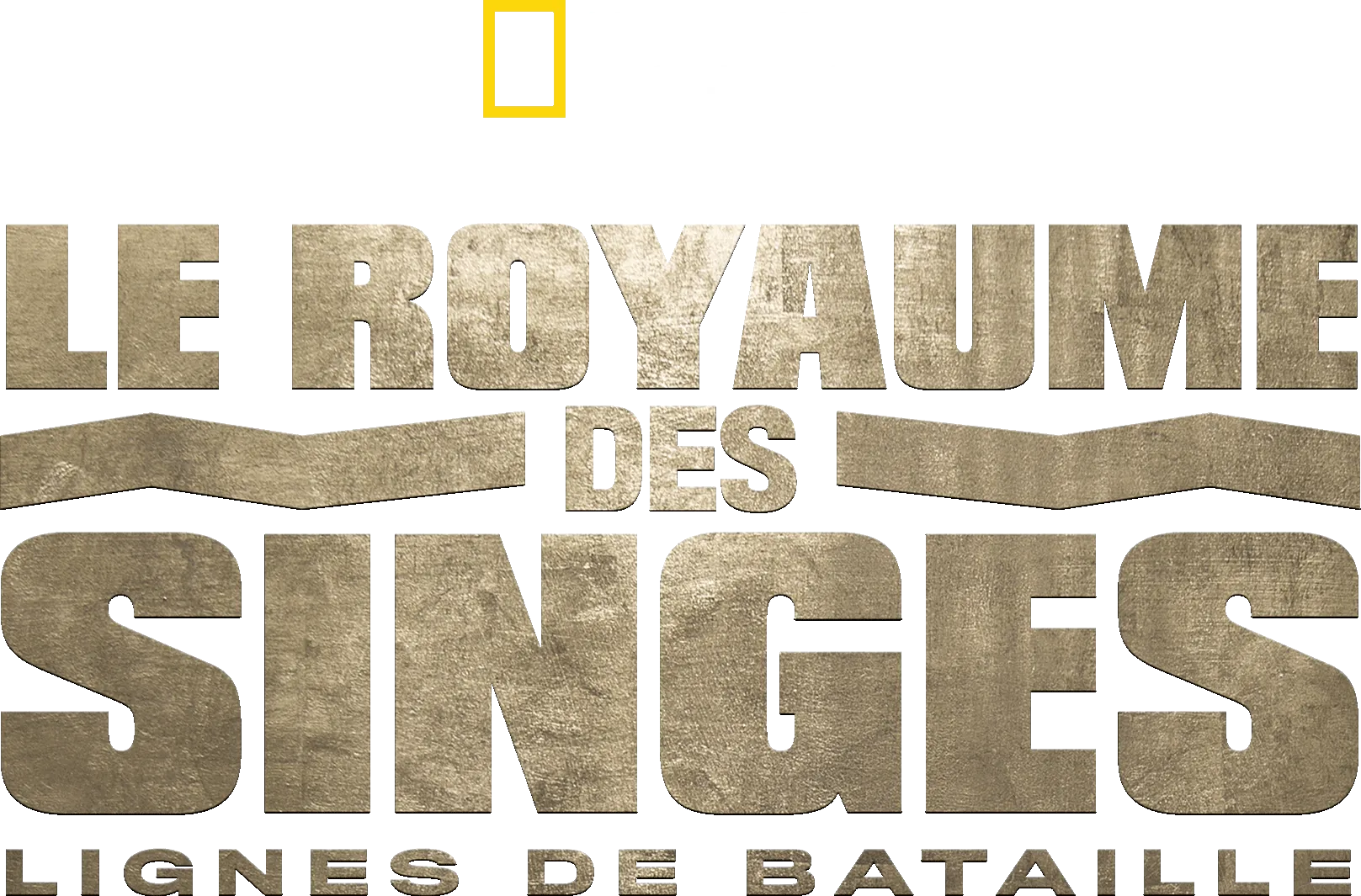Le royaume des singes: Lignes de bataille