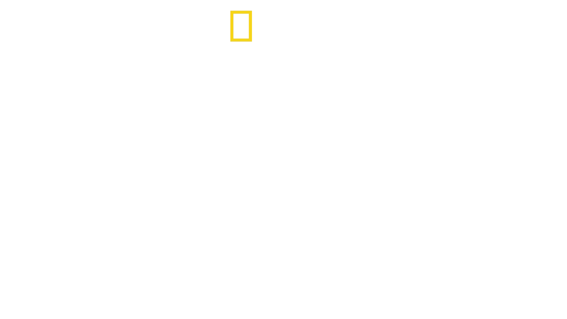 Kúzlo zábavného parku Disney's Animal Kingdom