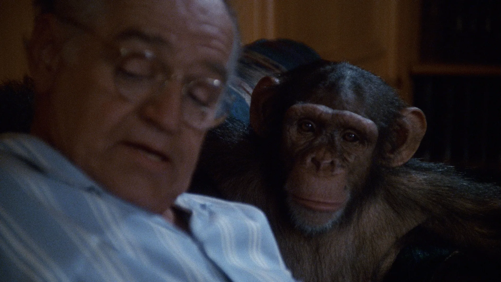 thumbnail - S6:E5 Monkey on My Back Lot
