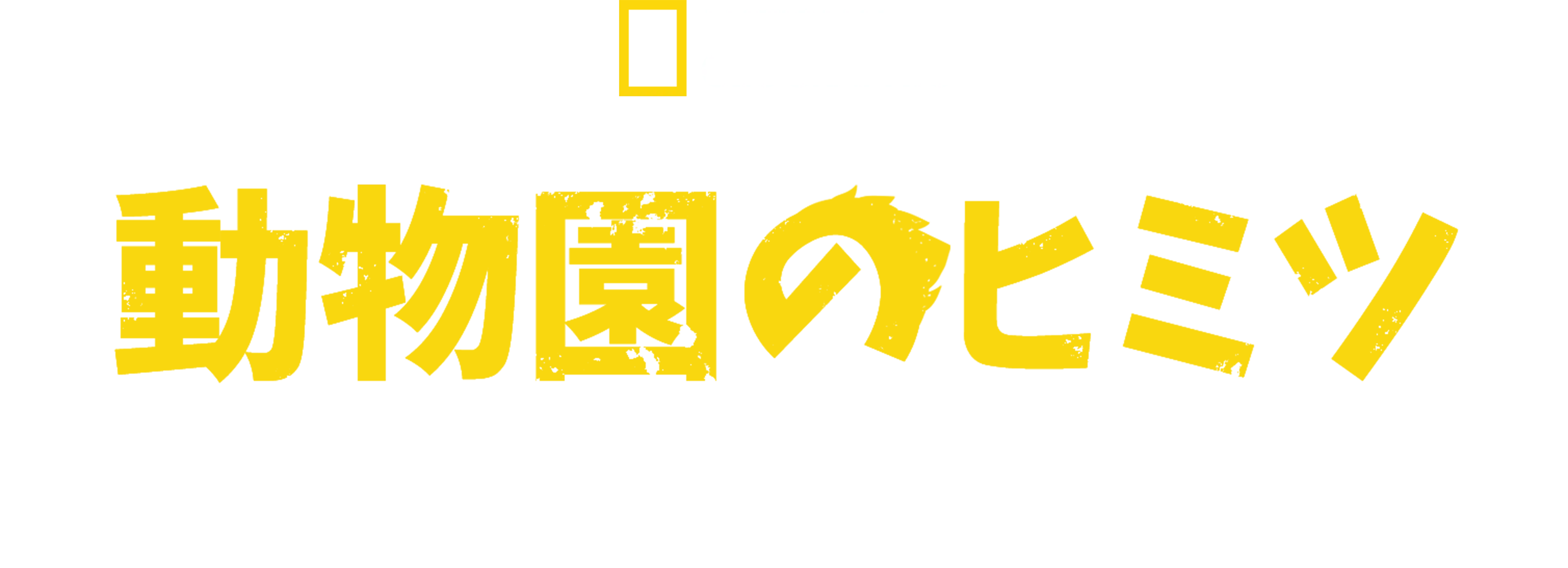 動物園のヒミツ：ノース・カロライナ動物園