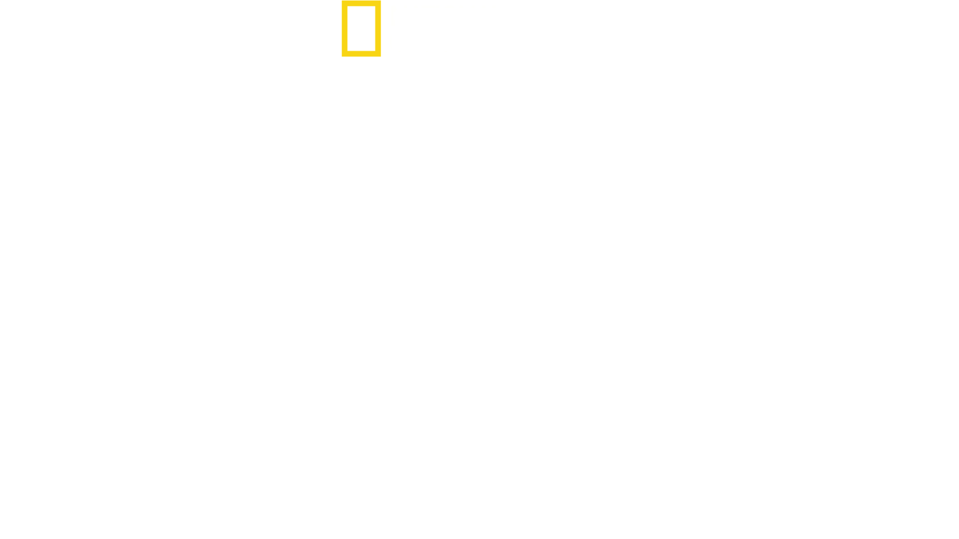 Made in a Day