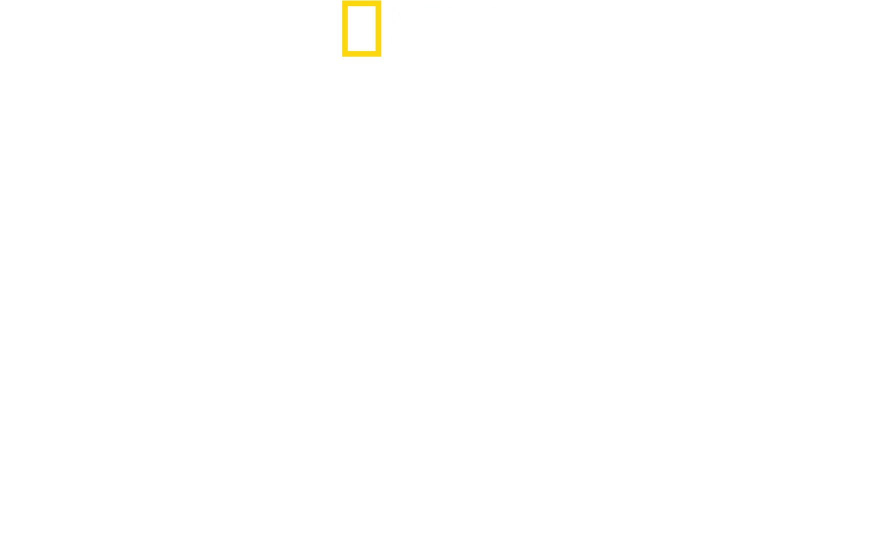 Made in a Day