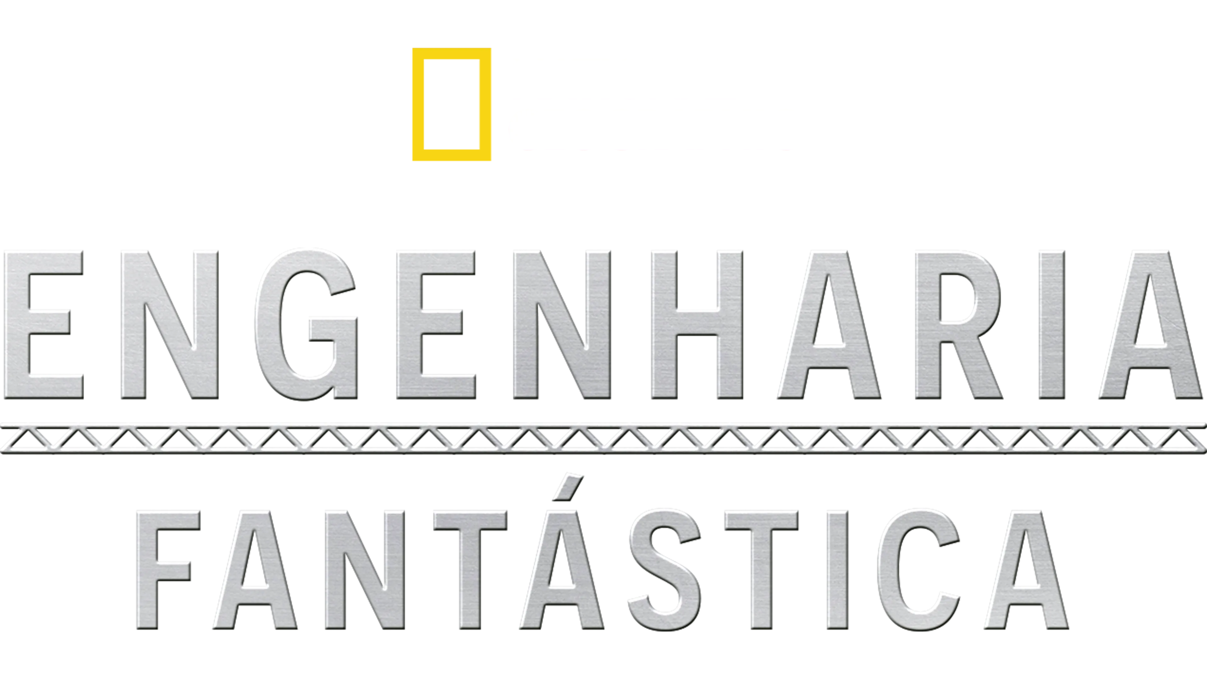 Engenharia Fantástica