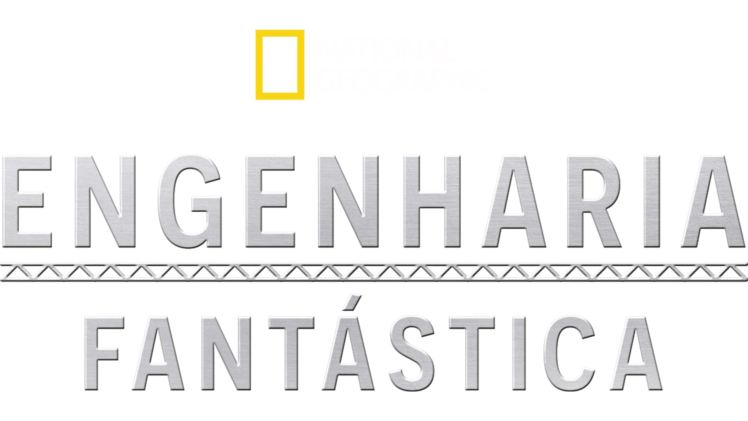 Engenharia Fantástica