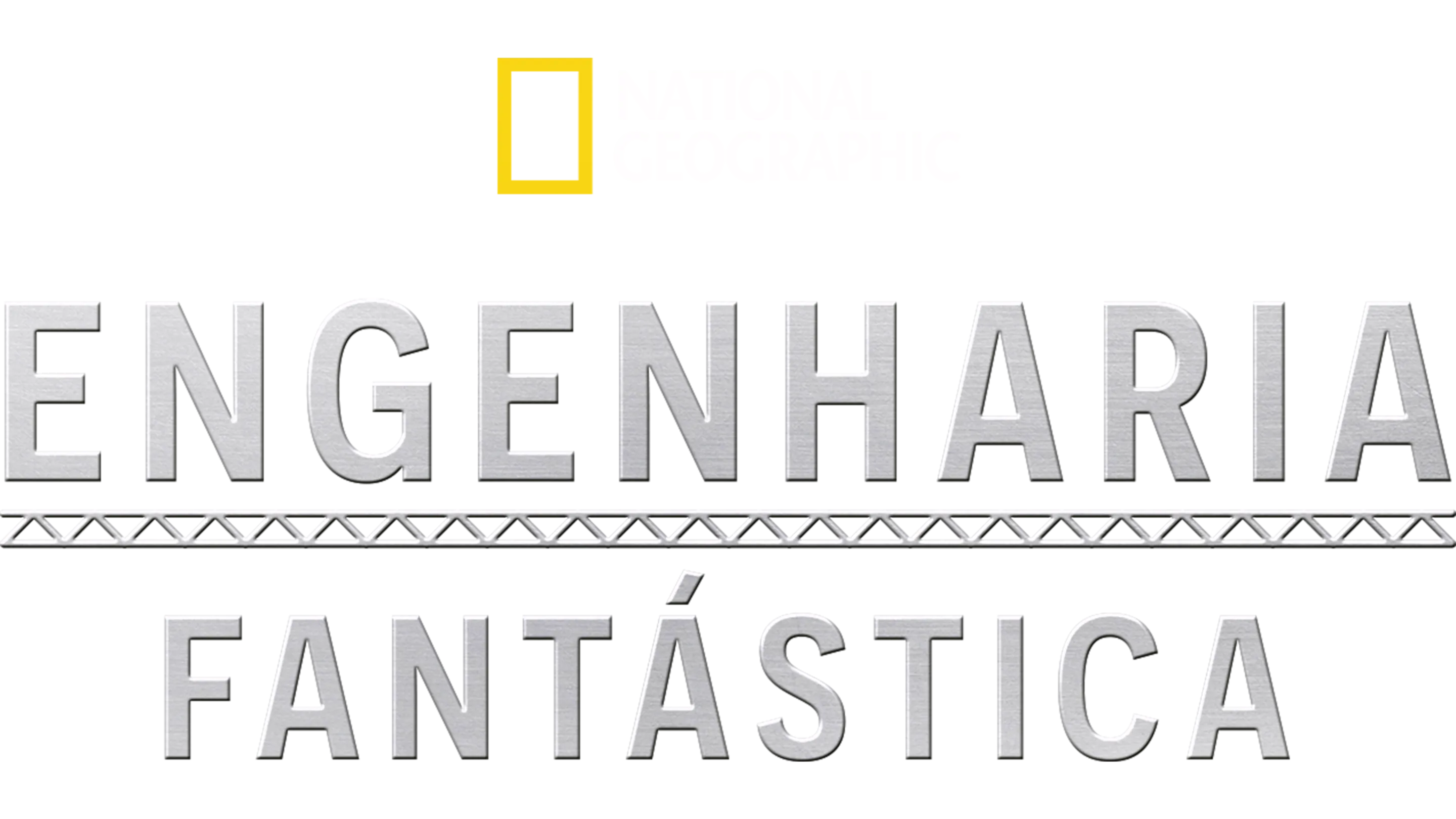Engenharia Fantástica