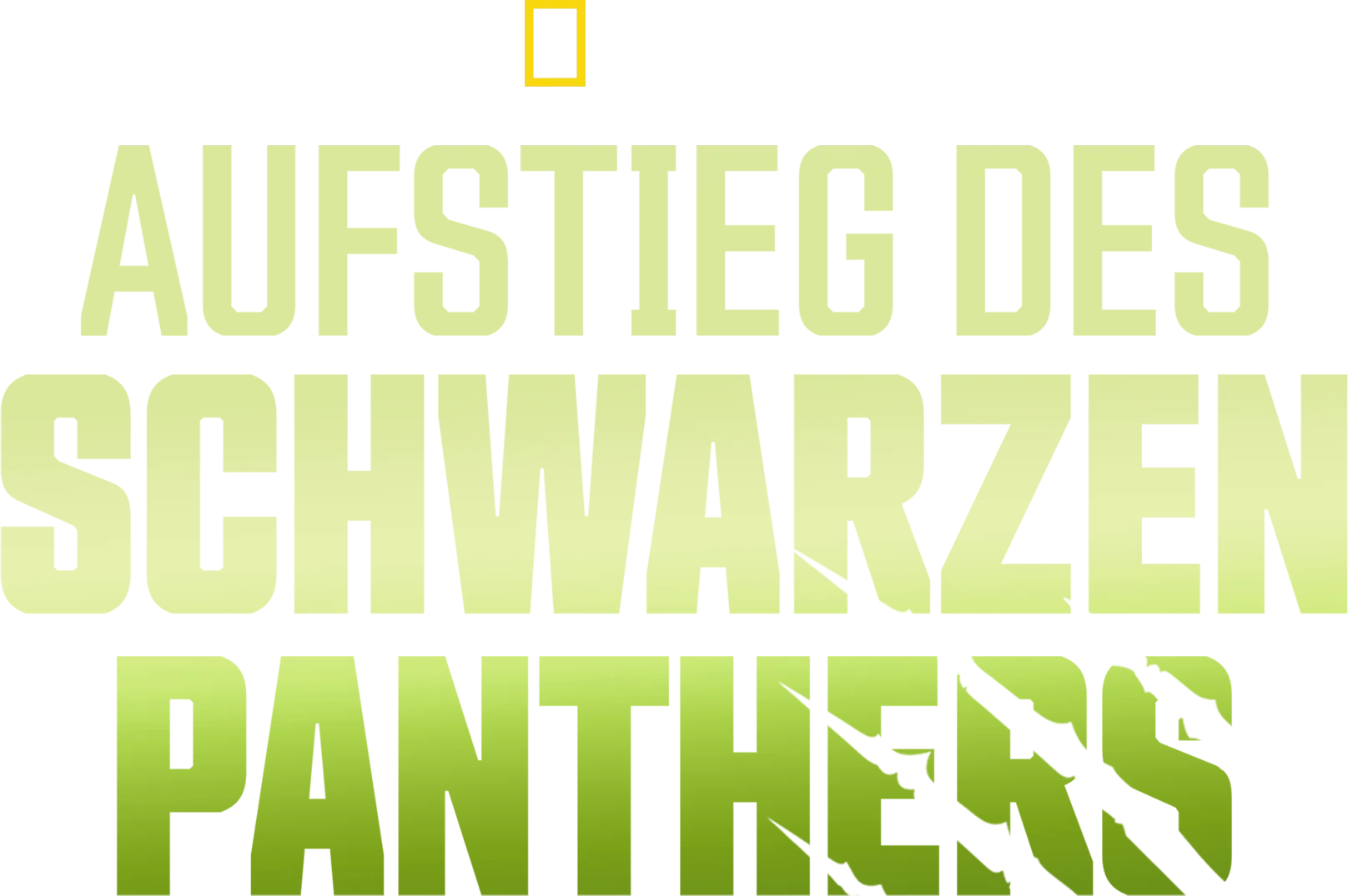 Aufstieg des schwarzen Panthers