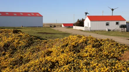 Falklands: Island of Secrets