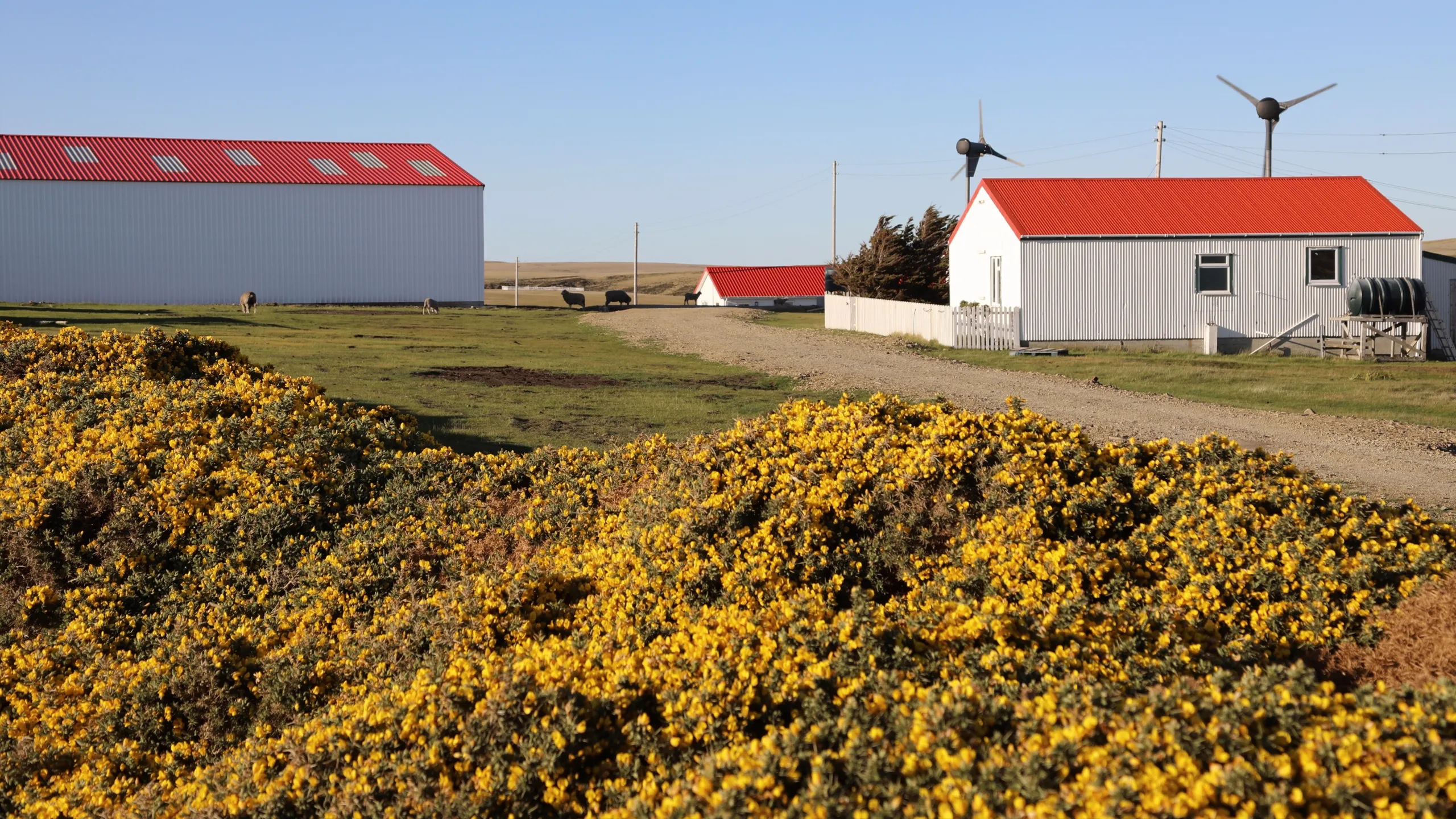 Falklands: Island of Secrets