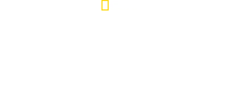 Jane Goodallová - život so šimpanzmi