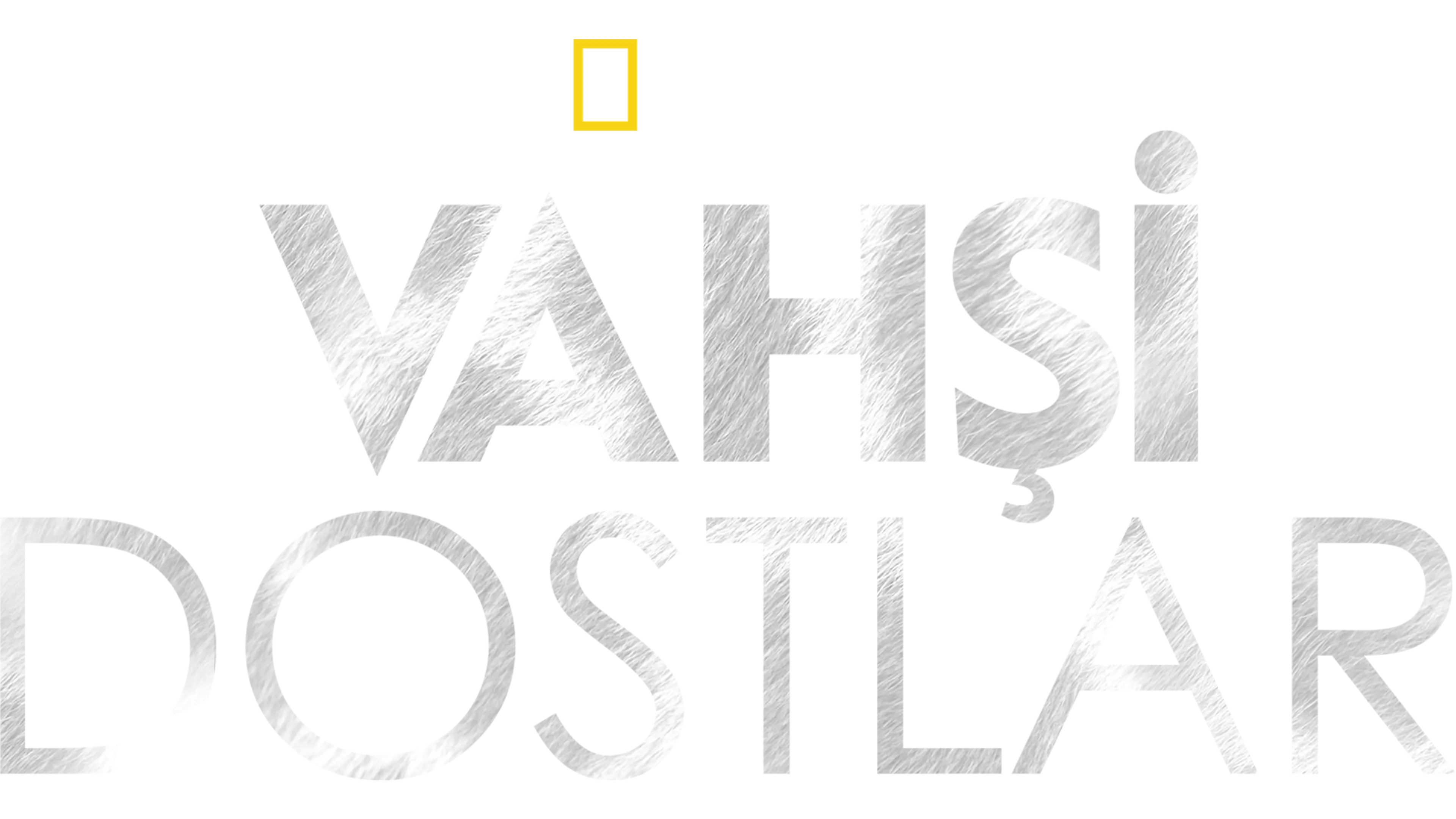Vahşi Dostlar