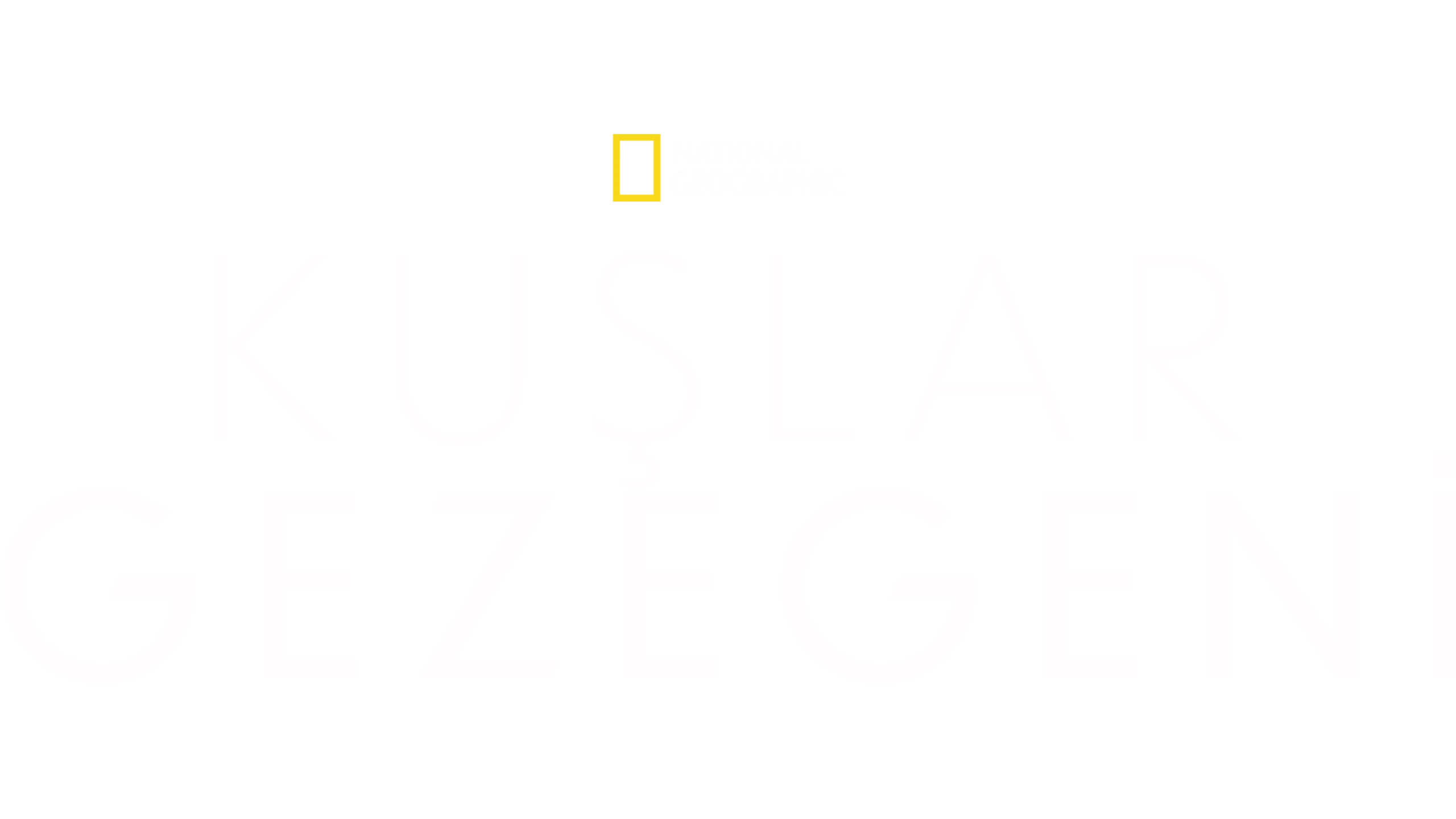 Kuşlar Gezegeni