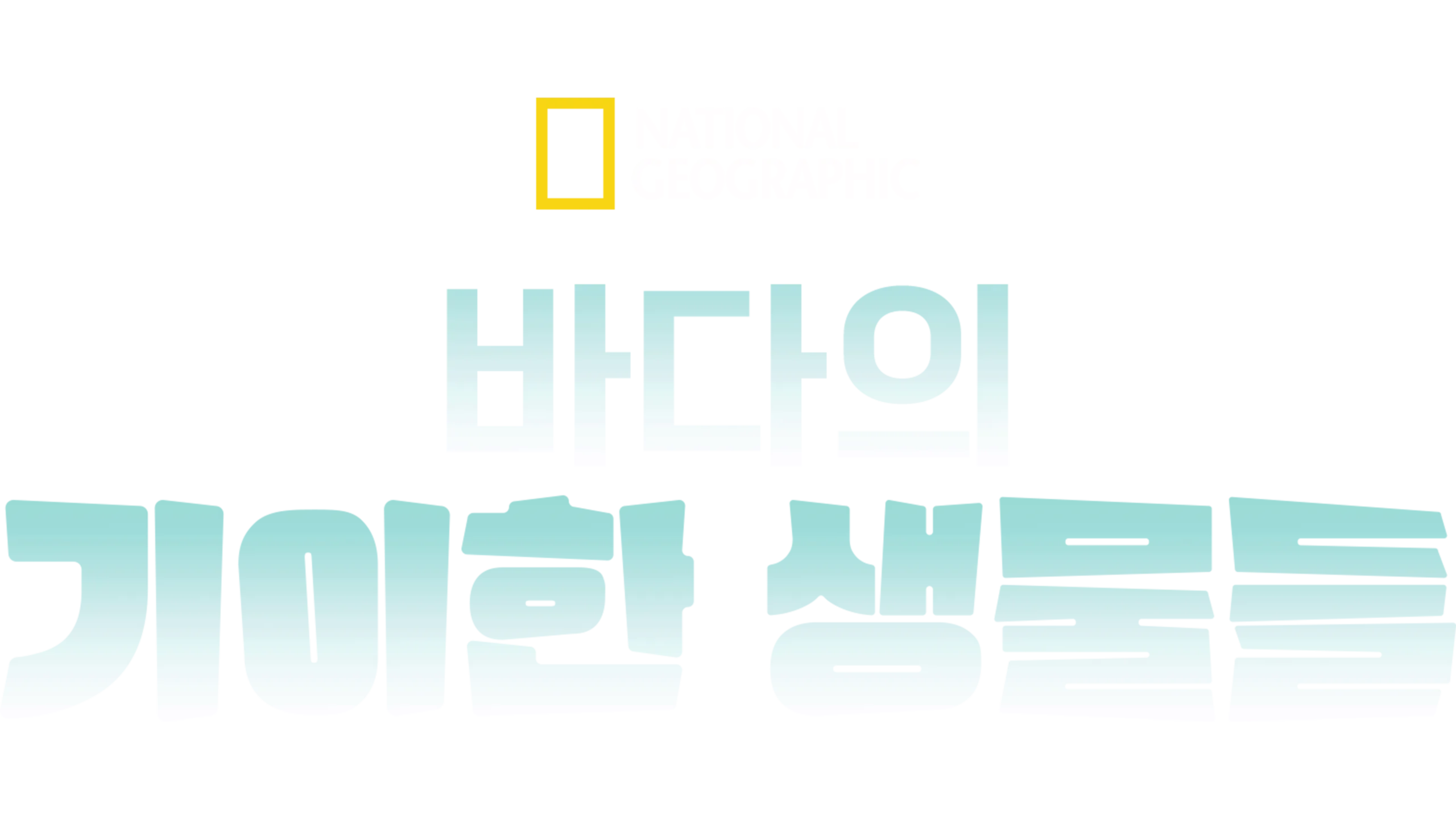 바다의 기이한 생물들