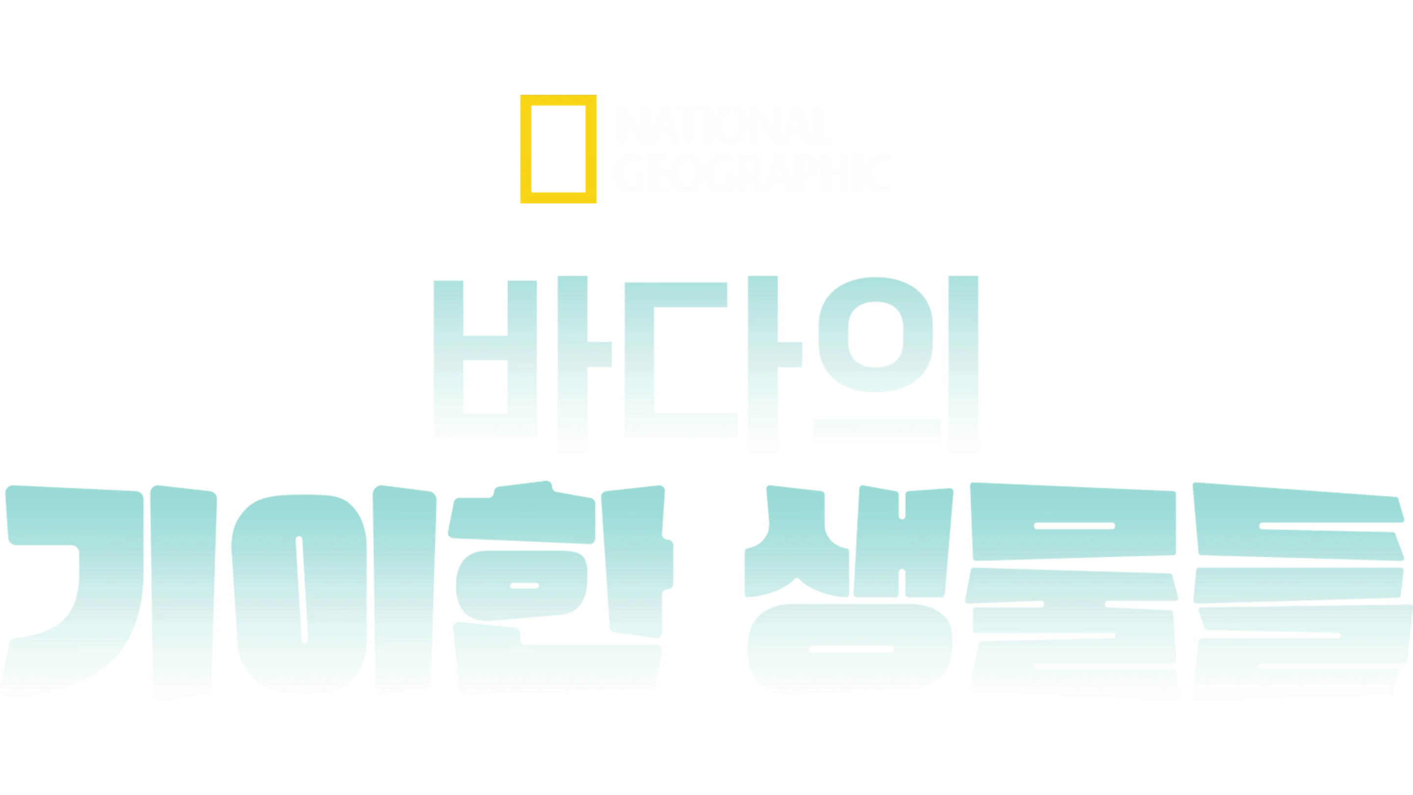 바다의 기이한 생물들