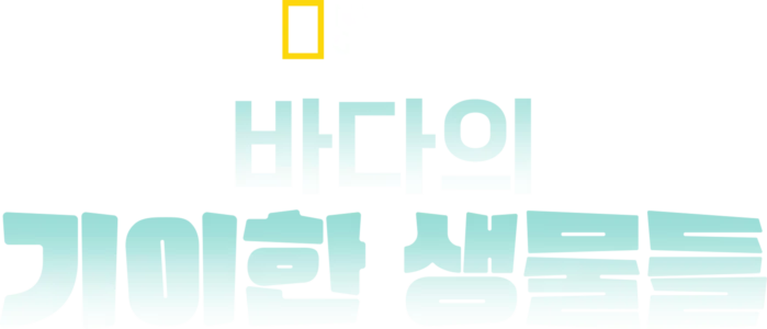 바다의 기이한 생물들