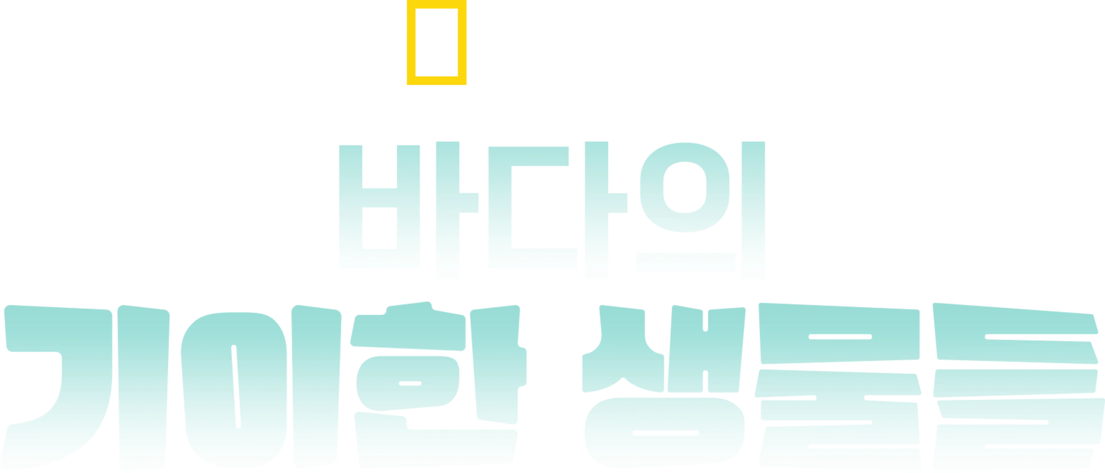 바다의 기이한 생물들