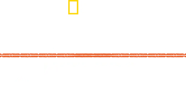 Apokalypse: Hitlers Ostfeldzug