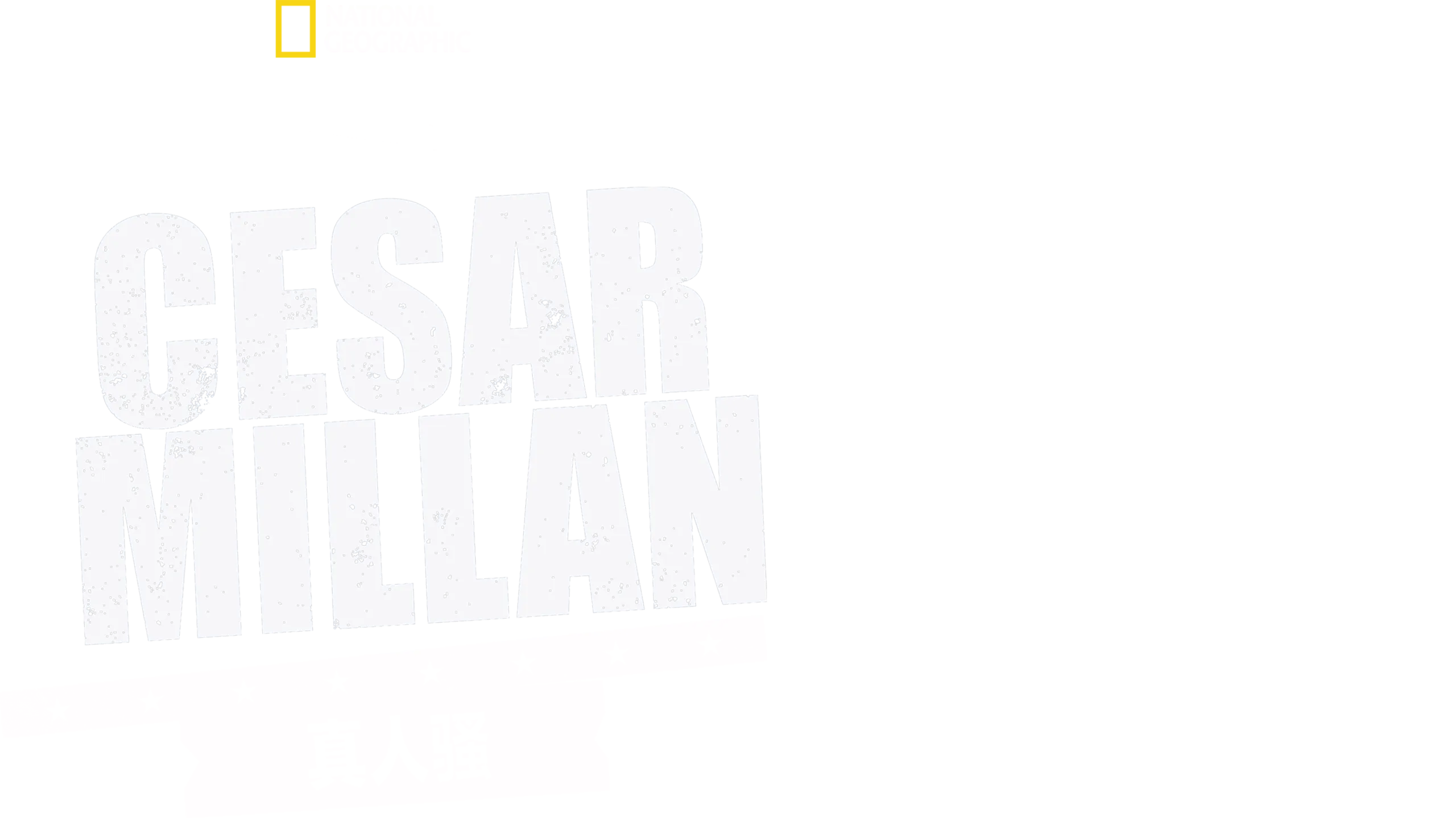 Cesar Millan真人骚