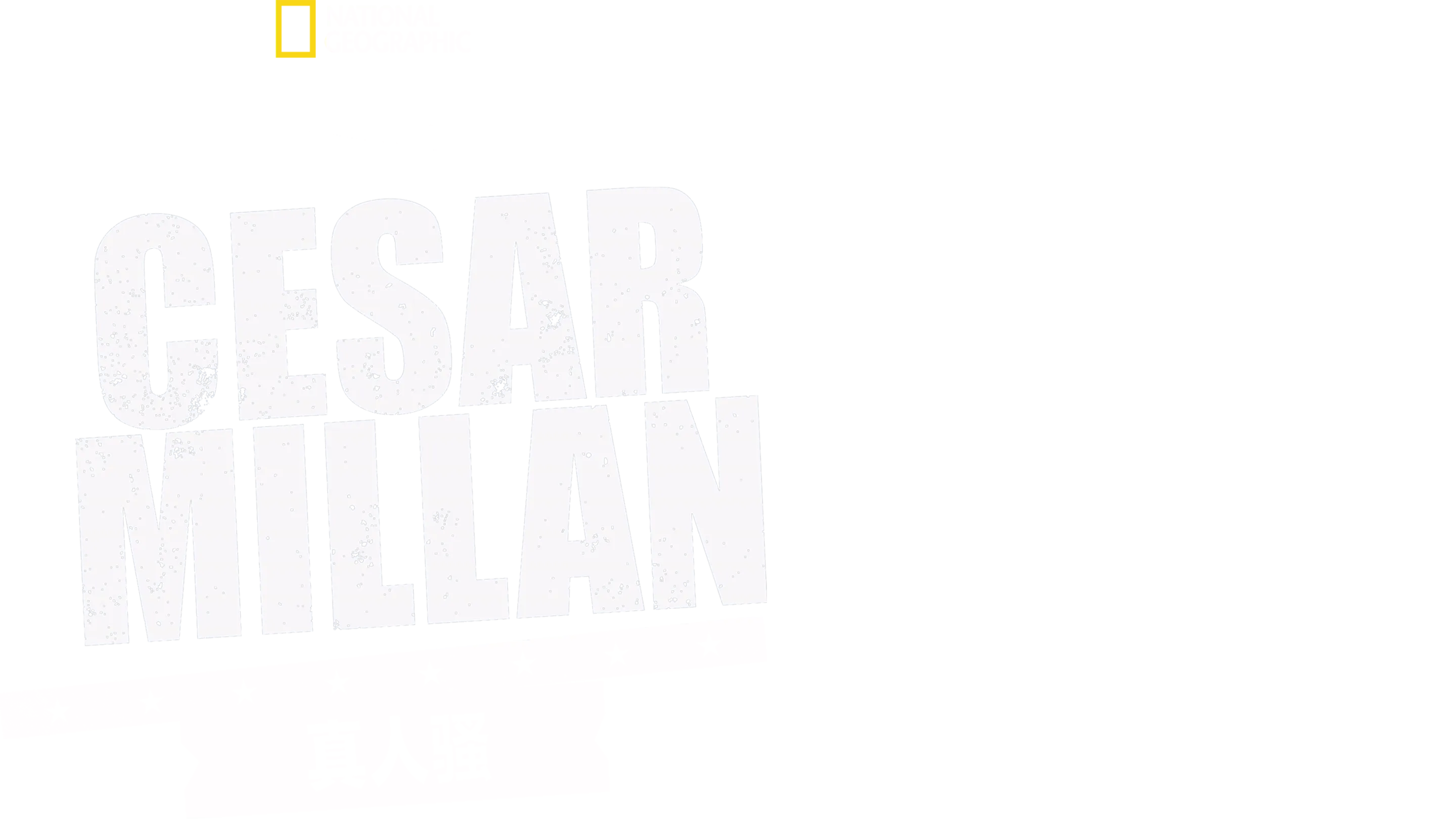 Cesar Millan真人骚