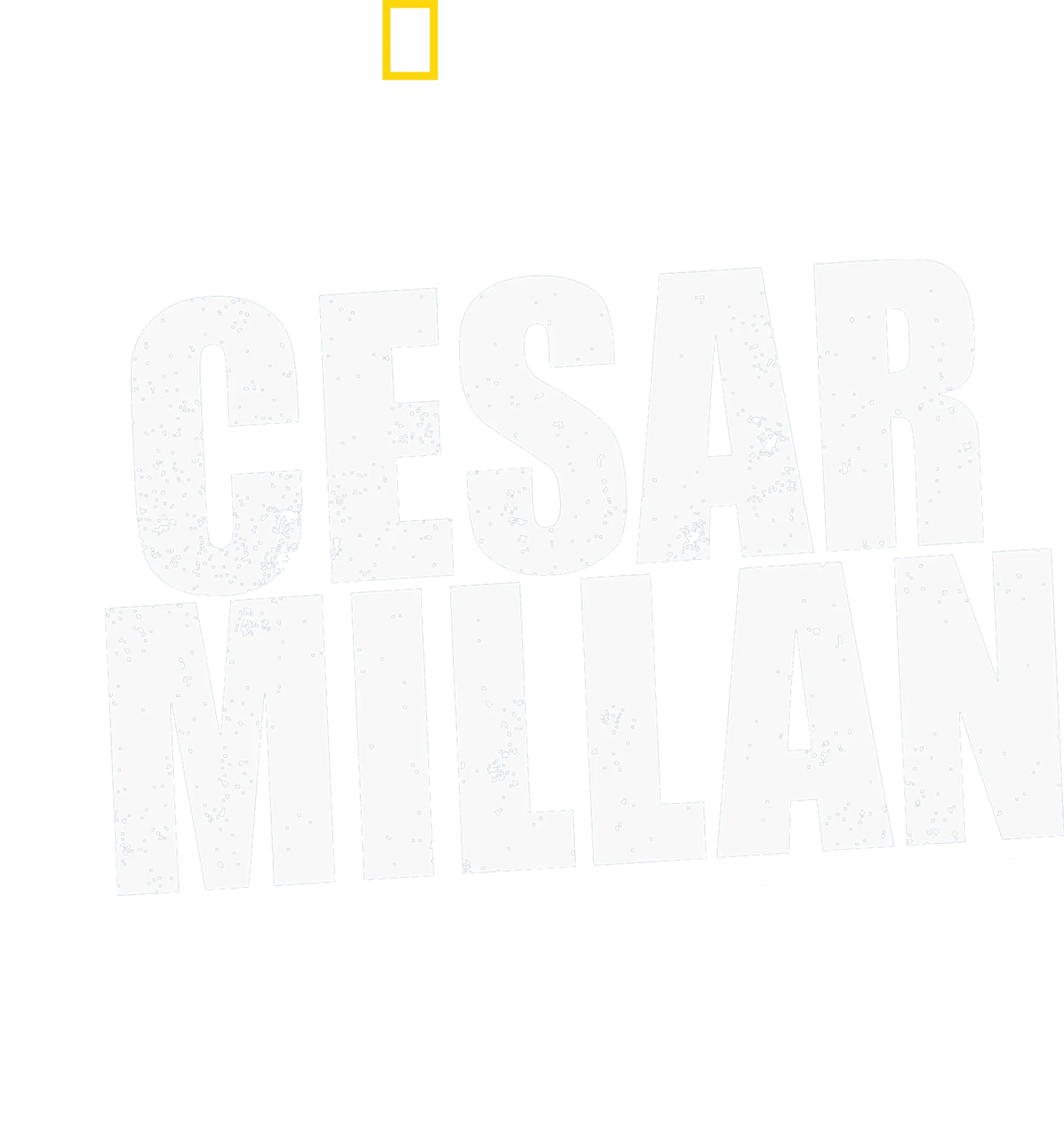 Cesar Millan真人骚