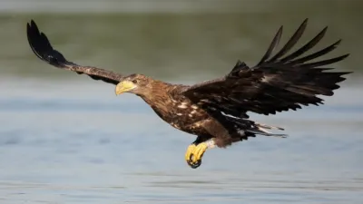 thumbnail - S1:E1 Germany