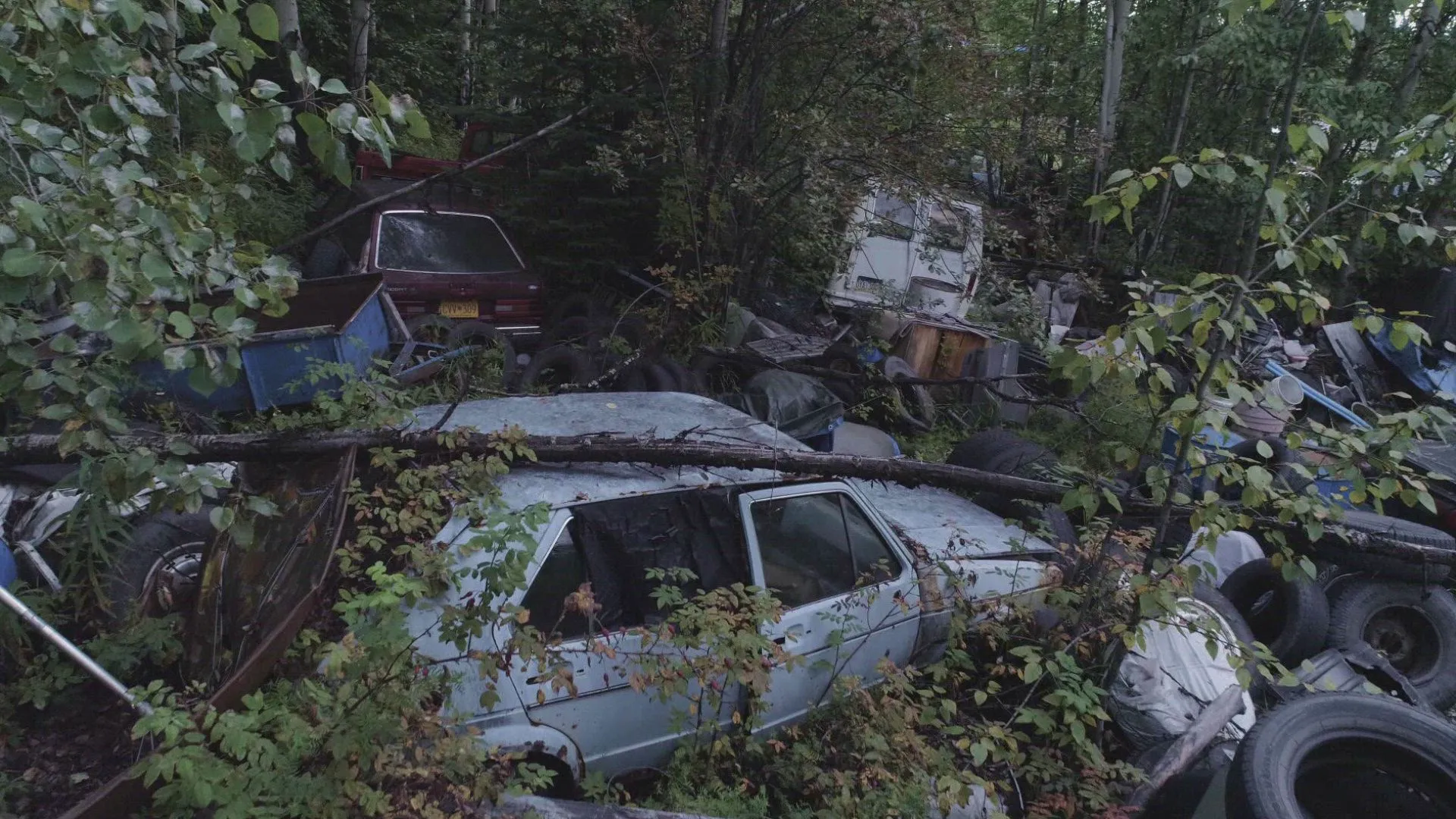 thumbnail - S16:E94 Where are they Now?