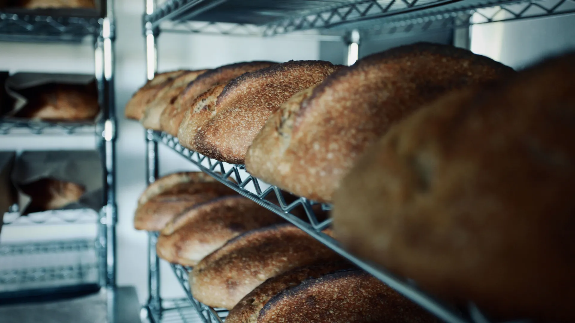 thumbnail - S1:E1 Sourdough in San Francisco