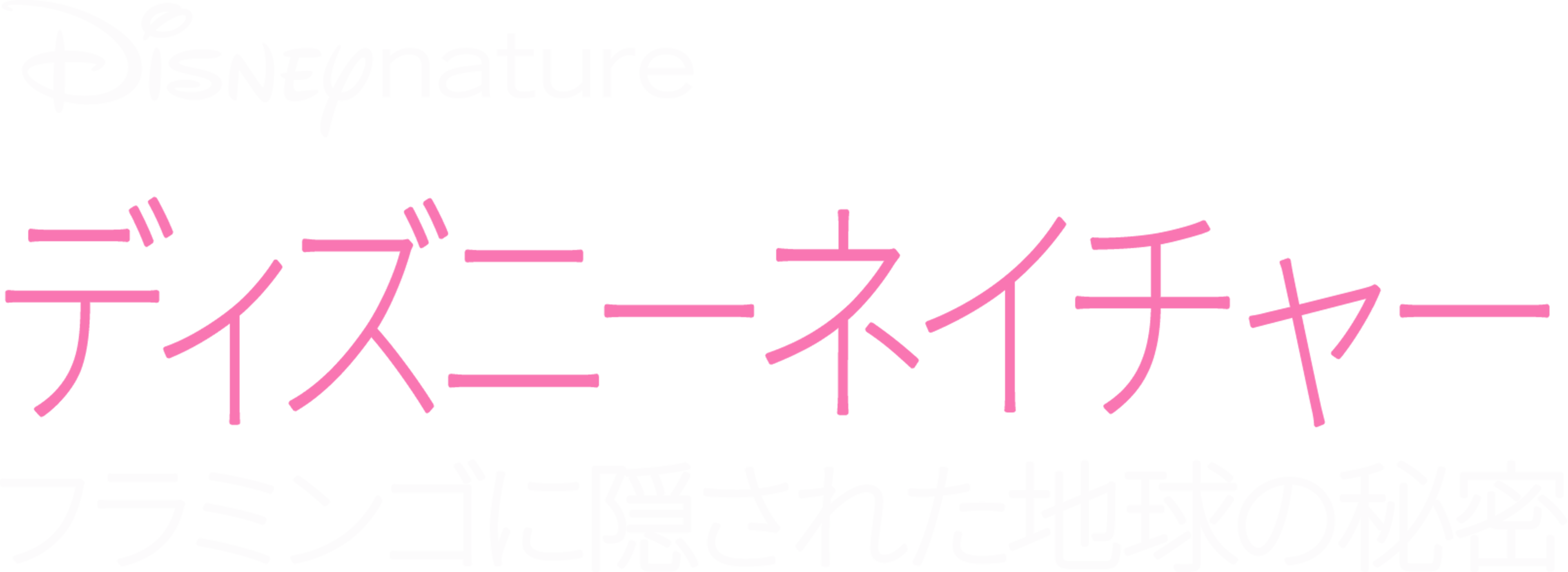 フラミンゴに隠された地球の秘密