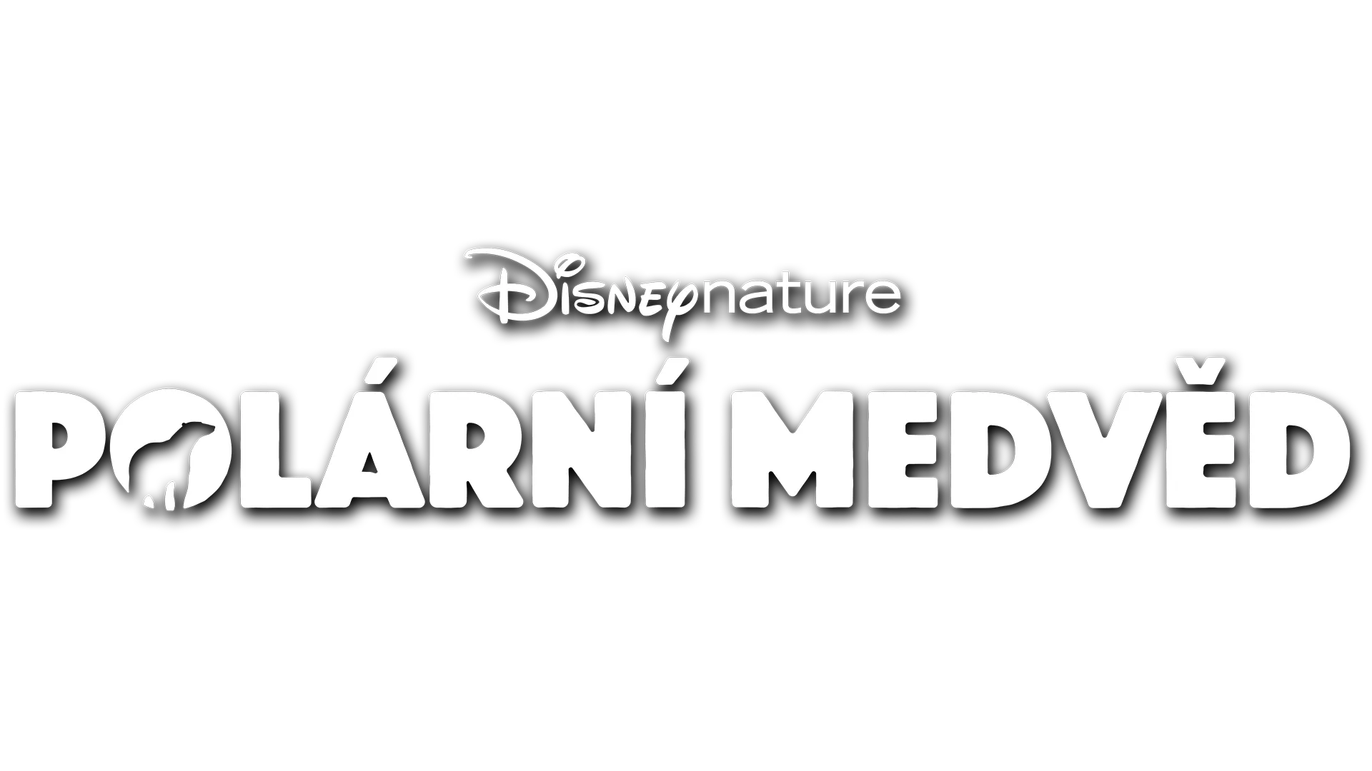 Polární medvěd