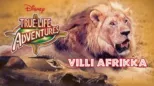 thumbnail - VILLI AFRIKKA