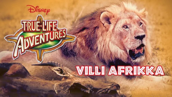 thumbnail - VILLI AFRIKKA