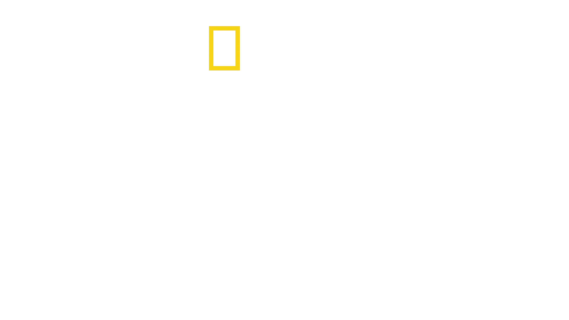 L'ascesa dei ricordi