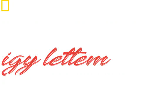 Dr. Pol: Így lettem állatorvos