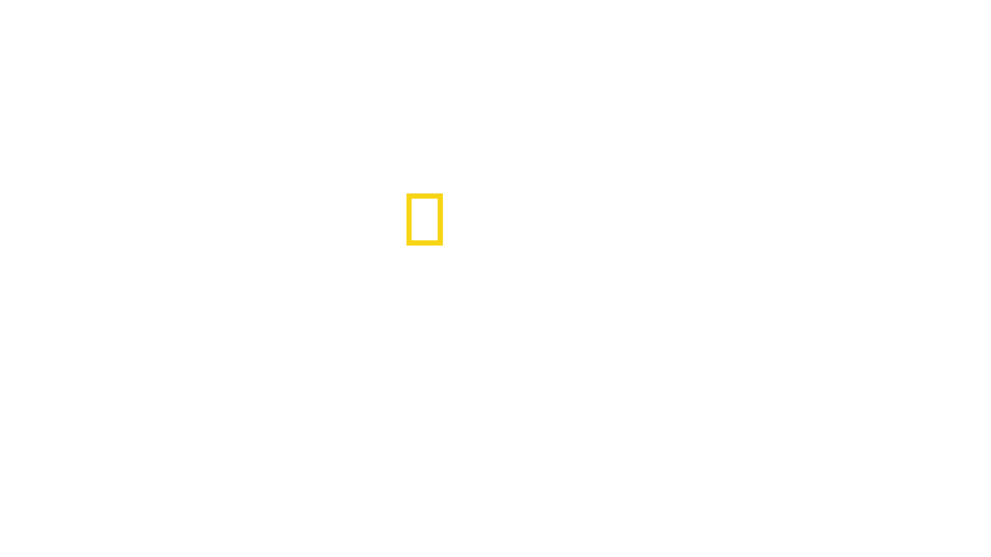 Rekin kontra tuńczyk