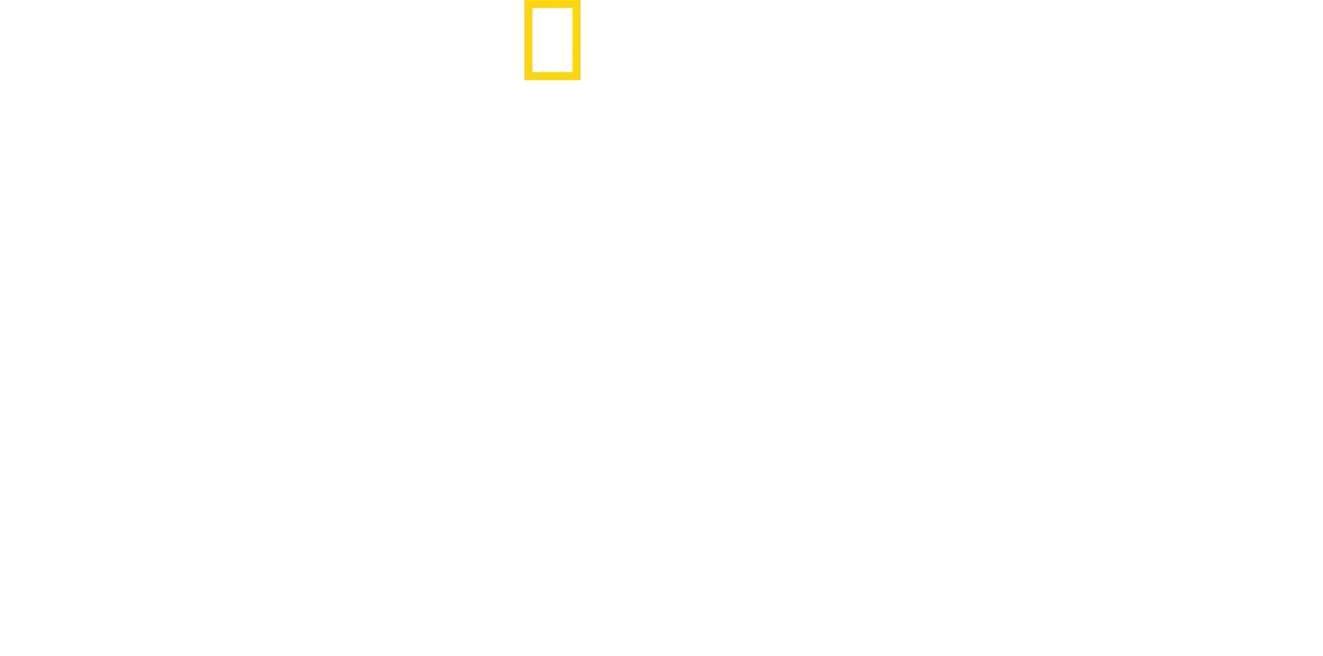 Expedição Amazônia