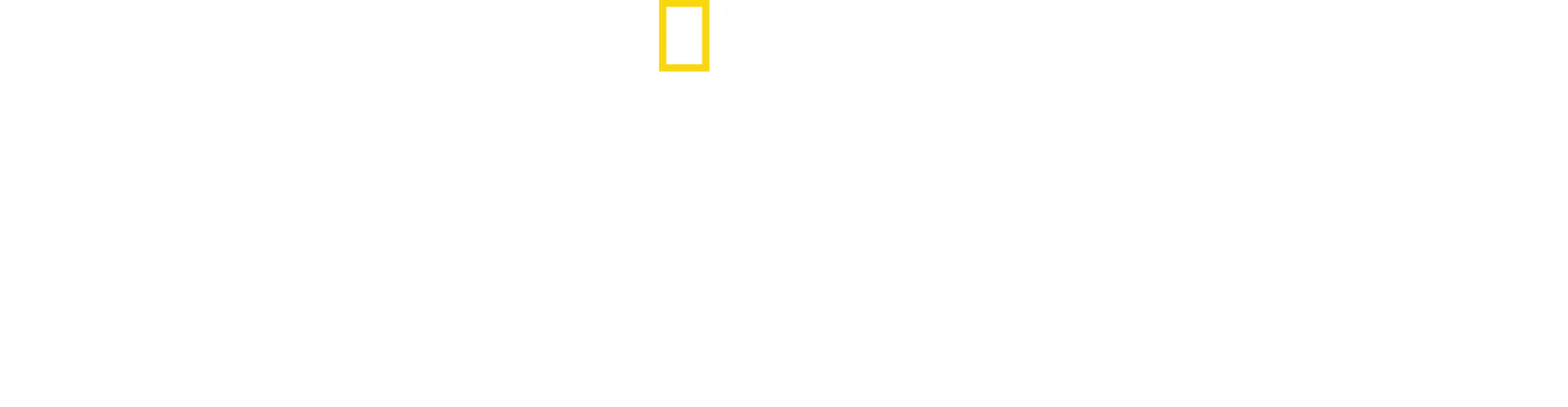 Trädleopardernas återkomst